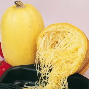 Növekvő cukkini spagetti ültető technológia és gondozás