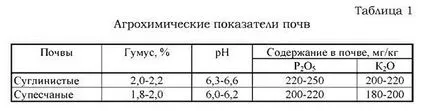 Отглеждането на червена детелина