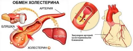 Вредите и ползите от яйца, независимо дали са вредни за ядене варени яйца всеки ден