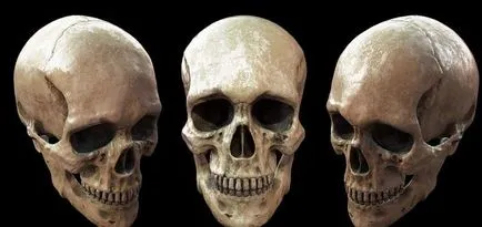 Caracteristici Vârsta ale craniului