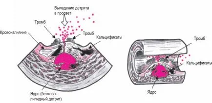 Появата на молекулен кислород