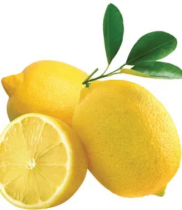 Alma a halhatatlanság - a használata a citrom hasznos tulajdonságok, összetétel