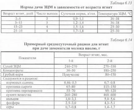 Lambing și de creștere în perioada de alăptare - agroarhiv materiale agricole