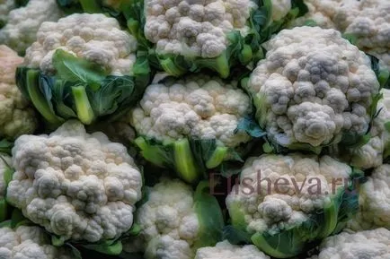 Prefabricați pentru conopida si broccoli iarna, pe blog