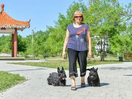 De ce trage Scottish Terrier-ul Coada rase canine