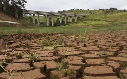 Seceta din Brazilia - Noutăți în imagini