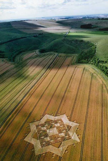 Semne în domeniile