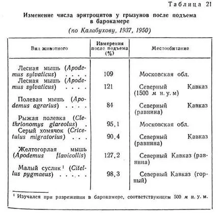 Адаптиране на планински организми