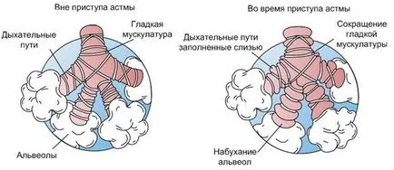 апарати астероиди