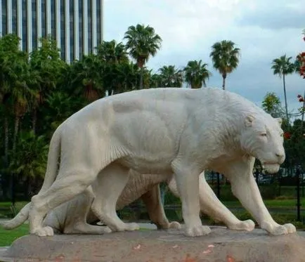 Американската Lion гигант прародител на съвременните котки