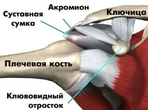 Sore articulațiilor umărului, motivele acestui fenomen, articulatii fara durere - este posibil