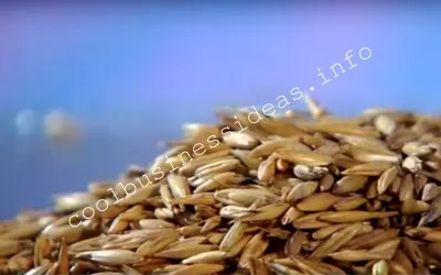 producția de cereale plan de afaceri, prelucrare, ambalare