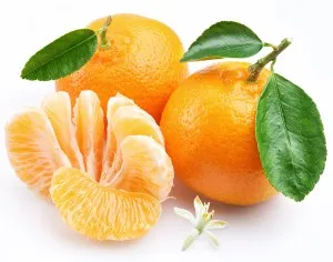 Mennyire hasznos citrus, egészségügyi magazin