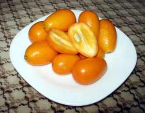 Citrus - különböző típusú, előnyei és hátrányai