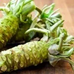 Wasabi vagy japán evtrema (eutrema japonicum)