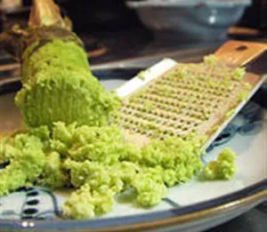 Wasabi vagy japán evtrema (eutrema japonicum)