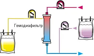 Ветеринарна клиника, хемодиализа във ветеринарната медицина