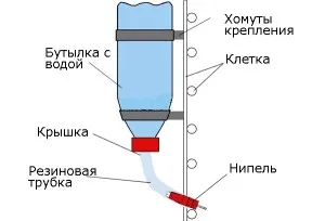 Ние прегледайте за зайци с ръцете си