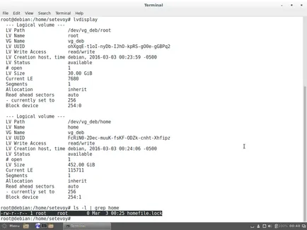 Debian разбивка ръчно задвижване с Fdisk, създаване на дялове LVM и монтаж на системата, rtfm Linux, DevOps