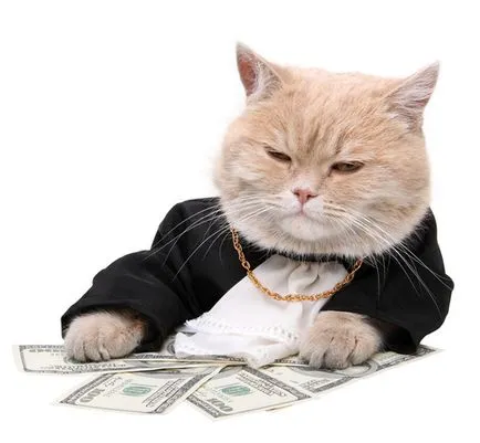 Десет най-богатата котка в света