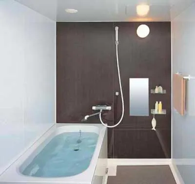 Дизайнът на тесен собствена баня плюс