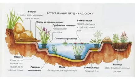 iaz de proiectare iaz în țară decorare