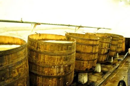 Excursie la fabrica de bere Pilsner urkvel