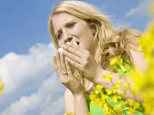 Dacă sunteți alergic la polen de iarbă, ce să facă, motivele, primul-03 Boli director al bolilor umane