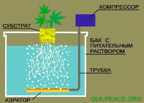 Metoda de culturi hidroponice ape adânci (DWC)