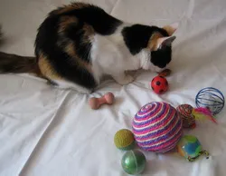 Jucării pentru pisice