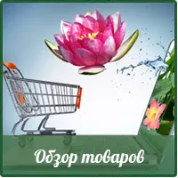 Online Virágbolt magvak, szakmai virágmag vásárolni mag