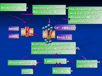 Исхемичен инсулт изпълнени член