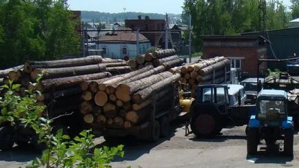 În sectorul forestier este timpul pentru a pune lucrurile în ordine 