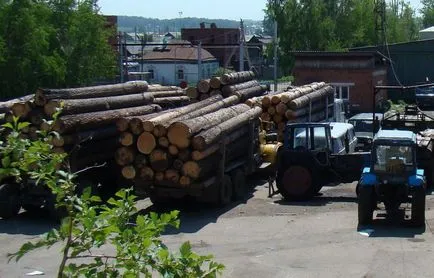 În sectorul forestier este timpul pentru a pune lucrurile în ordine 