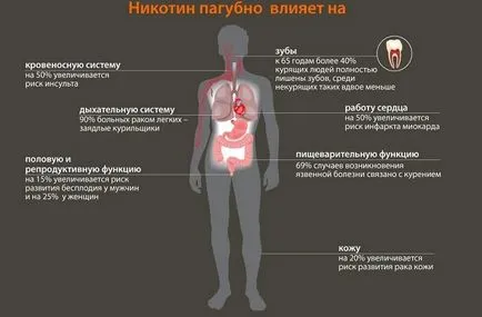 Ефектът на пушенето на дихателната система сърдечно-съдовата система, дихателната