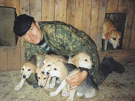 Educați și captura - câini de vânătoare