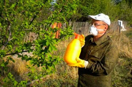 Как за борба с листни въшки слива народни средства - проверка!