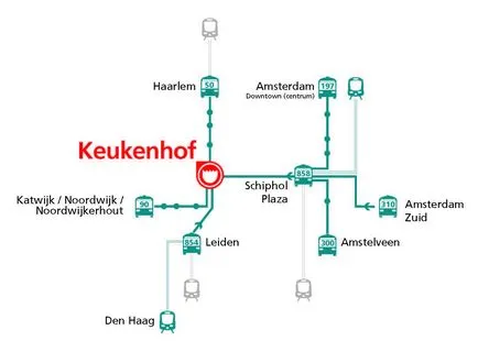 Как да стигнем до парк Keukenhof от Амстердам, Амстердам на въздух