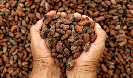 Как да се подготвите какаови топки доминикански