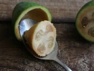 Как да се хранят Feijoa с кожата или без