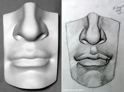 Hogyan lehet megtanulni, hogy dolgozzon egy arc gyakorlat megértéséhez forma, fény és az árnyék
