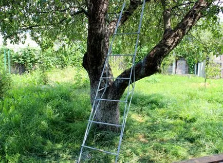 Ahogy festék fém létrán, és megvédje a fémet a korróziótól, newton ru