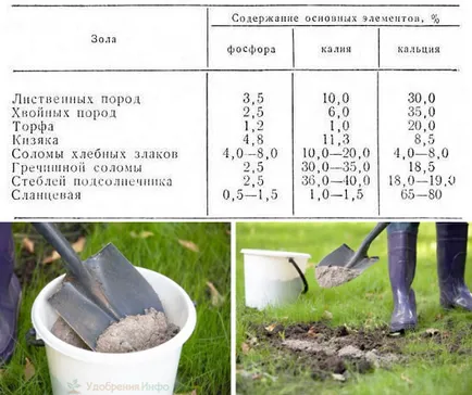 Как да се хранят пепелта на растения от дърво