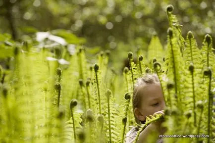 Cum să atașați copilul la natura