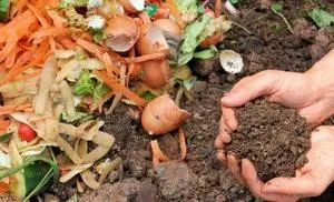 Cum de a face compost cu mâinile lor în țară și la domiciliu viața mea