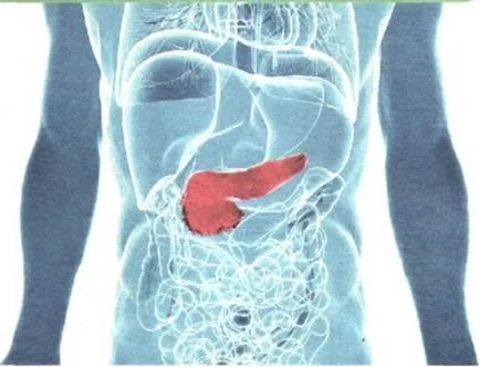 Cum de a menține un pancreas sănătos mbuz - CRH - Ust-Labinsk district