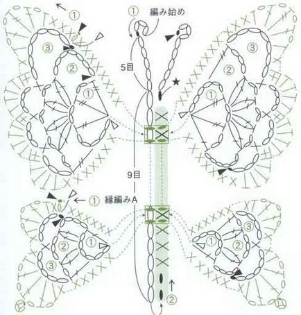 fluture tricotate, diagrama master-class