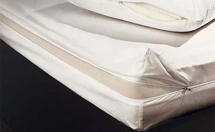 Hogyan válasszuk ki a matrac Topper a kanapén anatómiai vagy védőburkolat
