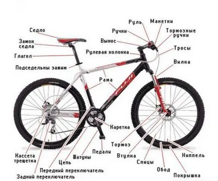 Cum de a alege o bicicletă pentru ciclism, ghid de călătorie Mari