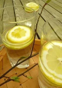 Hogyan kell elkészíteni egy nyírfa lé, citrom téli